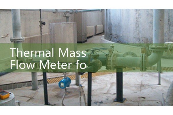 Thermal Mass Flow Meter for Natural Gas: Industrial Fuel Line Accounting